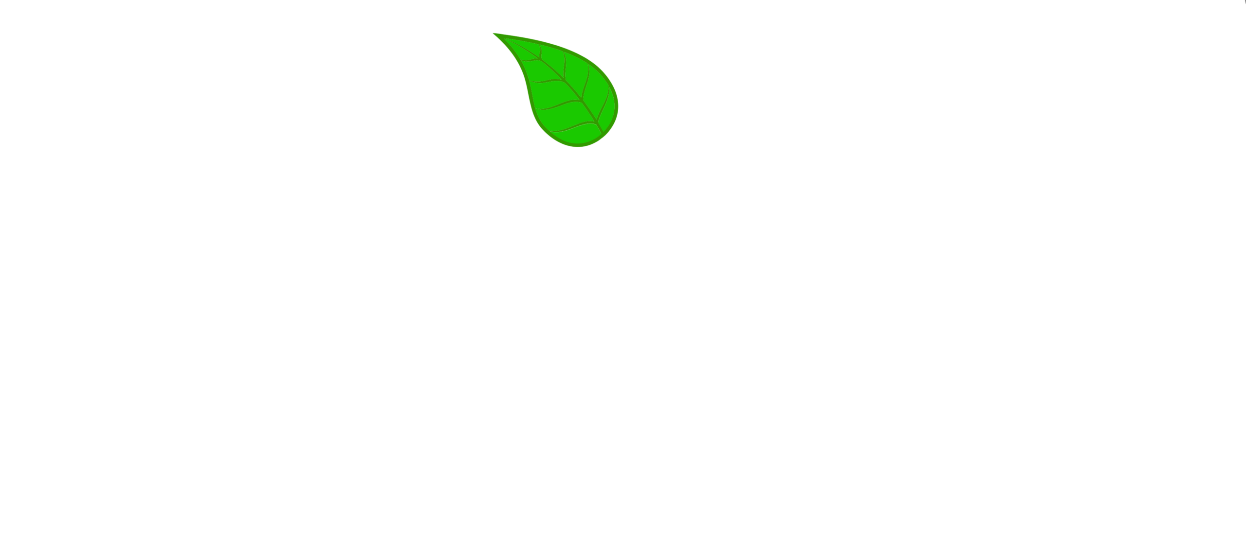 Nosu Energy